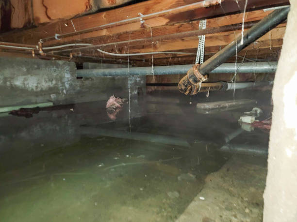 Carpet water damage restoration in Machias, WA