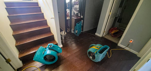 Best Water damage restoration near me  in Machias, WA