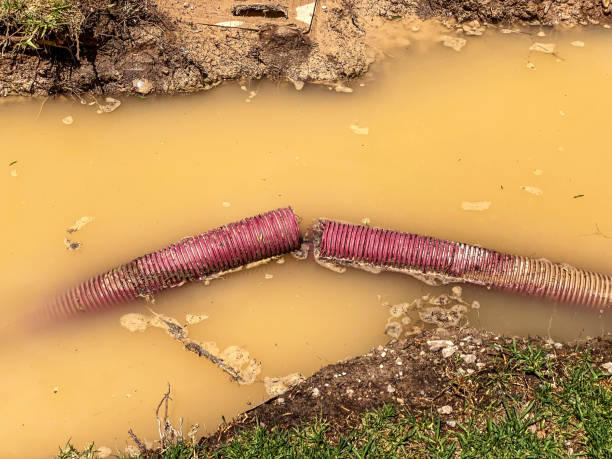 Best Mold removal after water damage  in Machias, WA