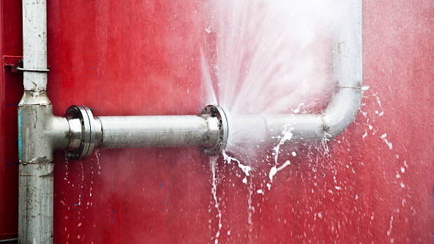 Best Water damage cleanup near me  in Machias, WA