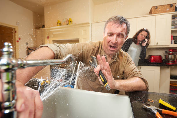 Best Sewage cleanup and water damage restoration  in Machias, WA